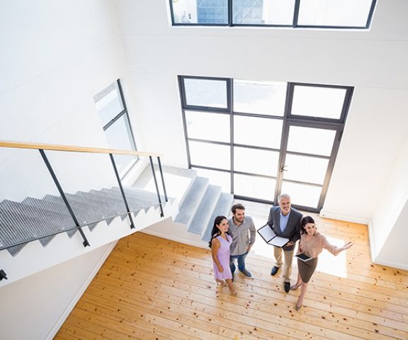 Mavals C.C.N. Immobilier